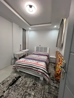 Furnished 2bdrm House in Bole for rent