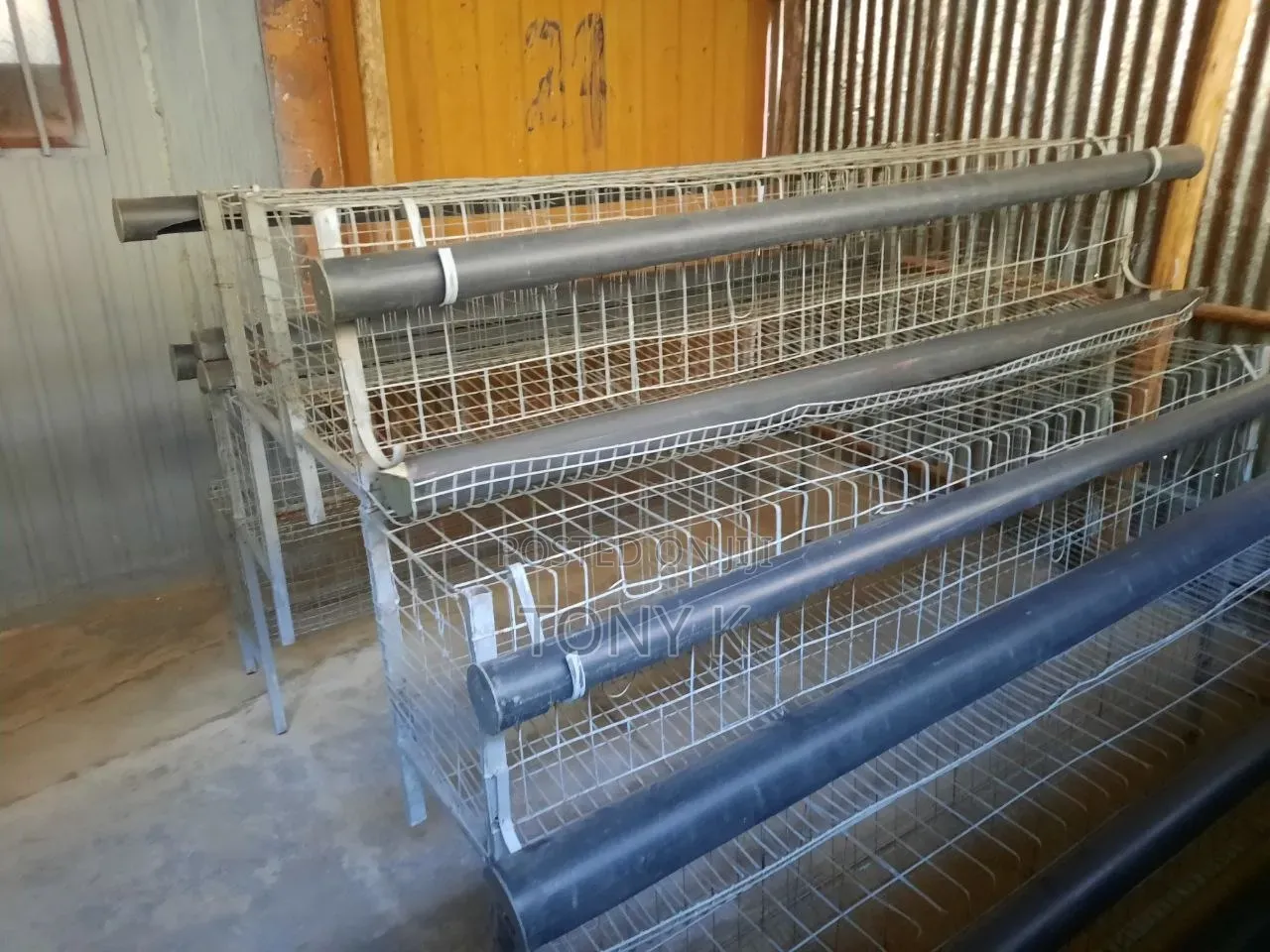 እስከ 144 ዶሮ የሚይዝ አሪፍ የዶሮ Cage