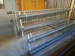 እስከ 144 ዶሮ የሚይዝ አሪፍ የዶሮ Cage