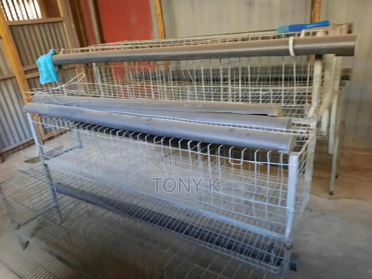 እስከ 144 ዶሮ የሚይዝ አሪፍ የዶሮ Cage