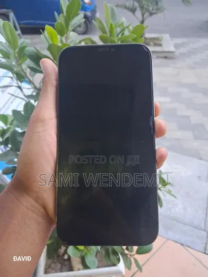 Apple iPhone 12 Pro Max 128 GB Black