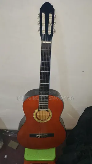 Sheffield Acoustic Classical Guitar