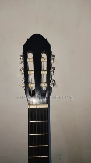 Sheffield Acoustic Classical Guitar