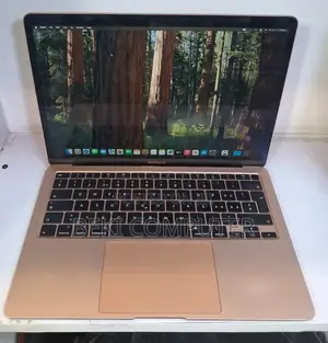 New Laptop Apple MacBook Air 2020 8GB Intel Core i5 SSD 256GB
