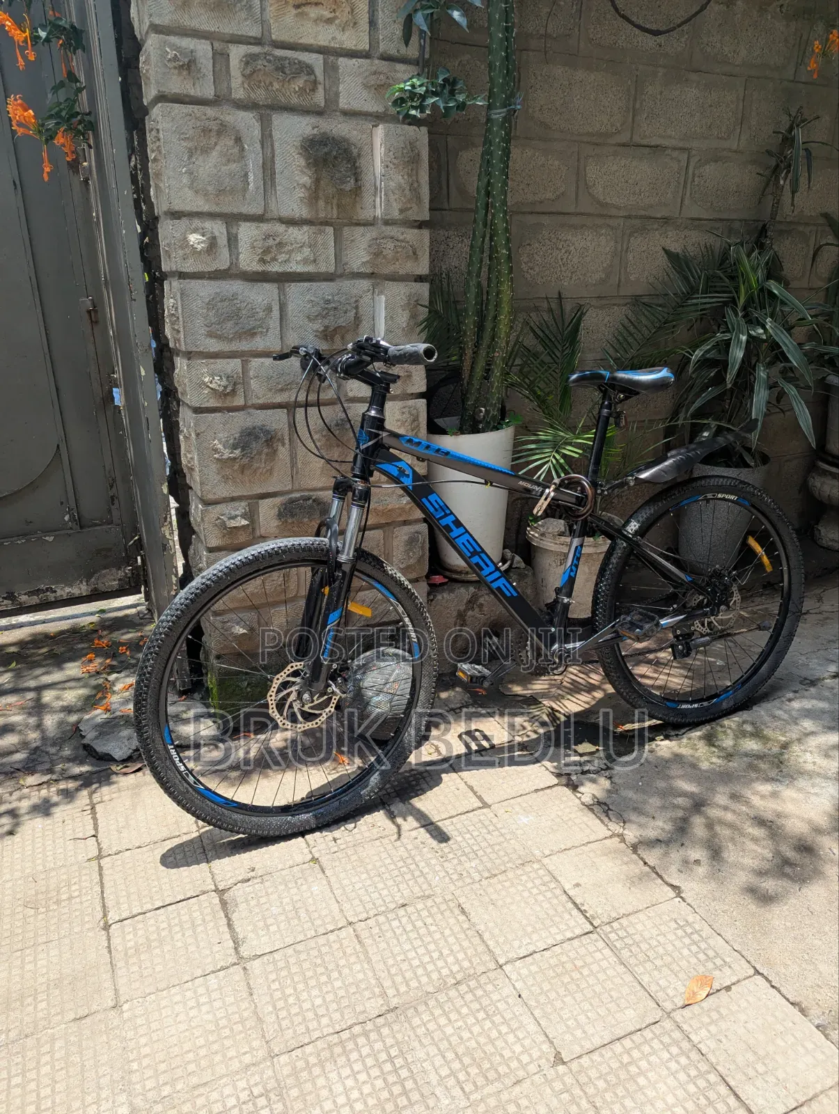 Aluminium 8 Gears Bike