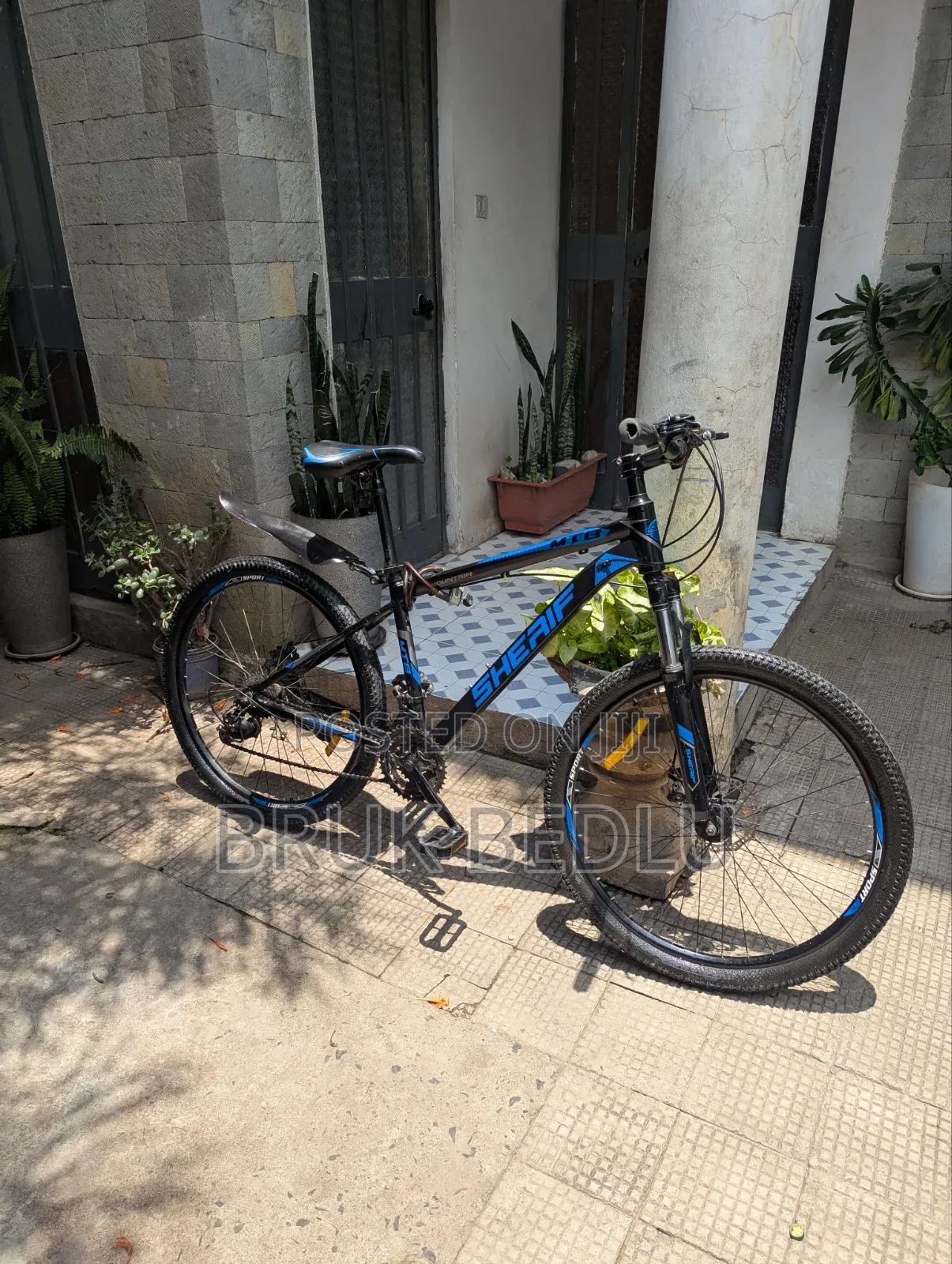 Aluminium 8 Gears Bike