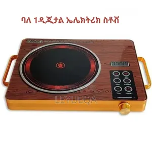 ባለ 1 ዲጂታል ኤሌክትሪክ ስቶቭ