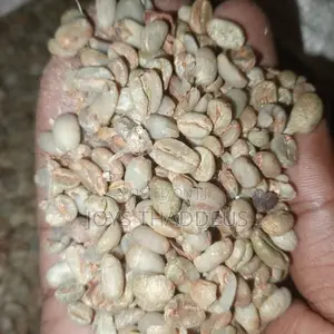 Wolaita Buna