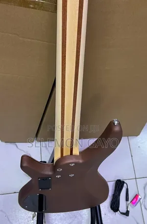 Bass Guitar