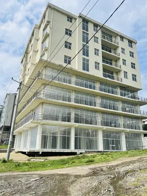 Furnished 3bdrm Apartment in Masero Realestate, Bole for sale