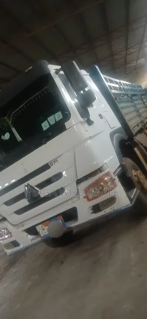 Sino Casoni ሲኖ ካሶኒ