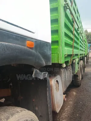 Sino Casoni ሲኖ ካሶኒ