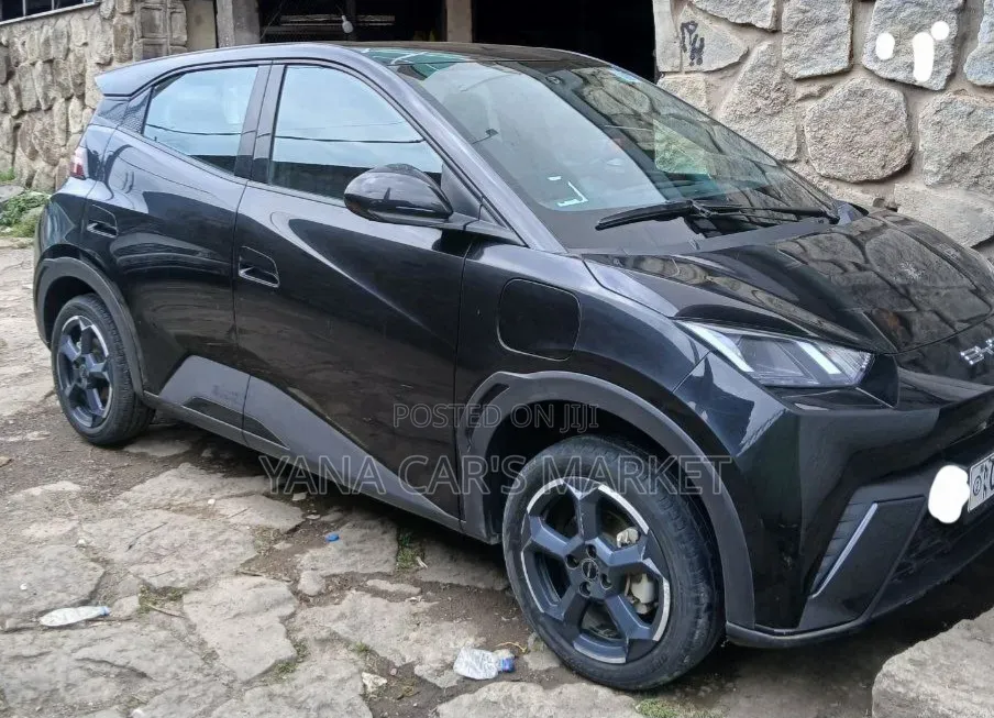BYD Seagull 2024 Black