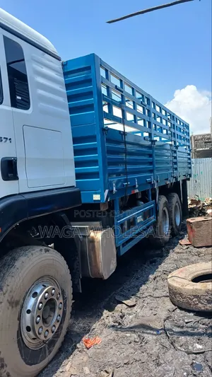 Sino Casoni ሲኖ ካሶኒ TX 371