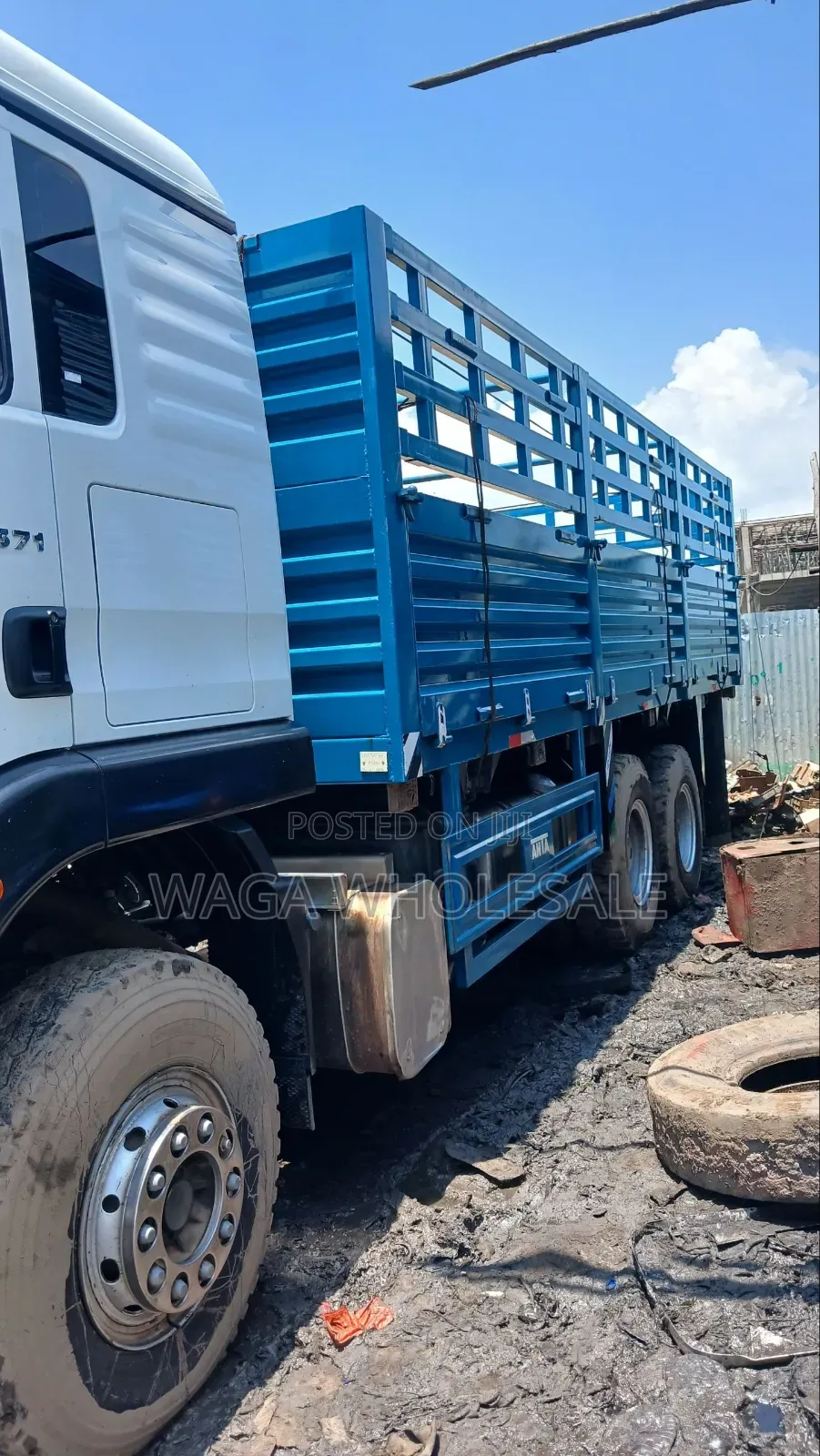 Sino Casoni ሲኖ ካሶኒ TX 371