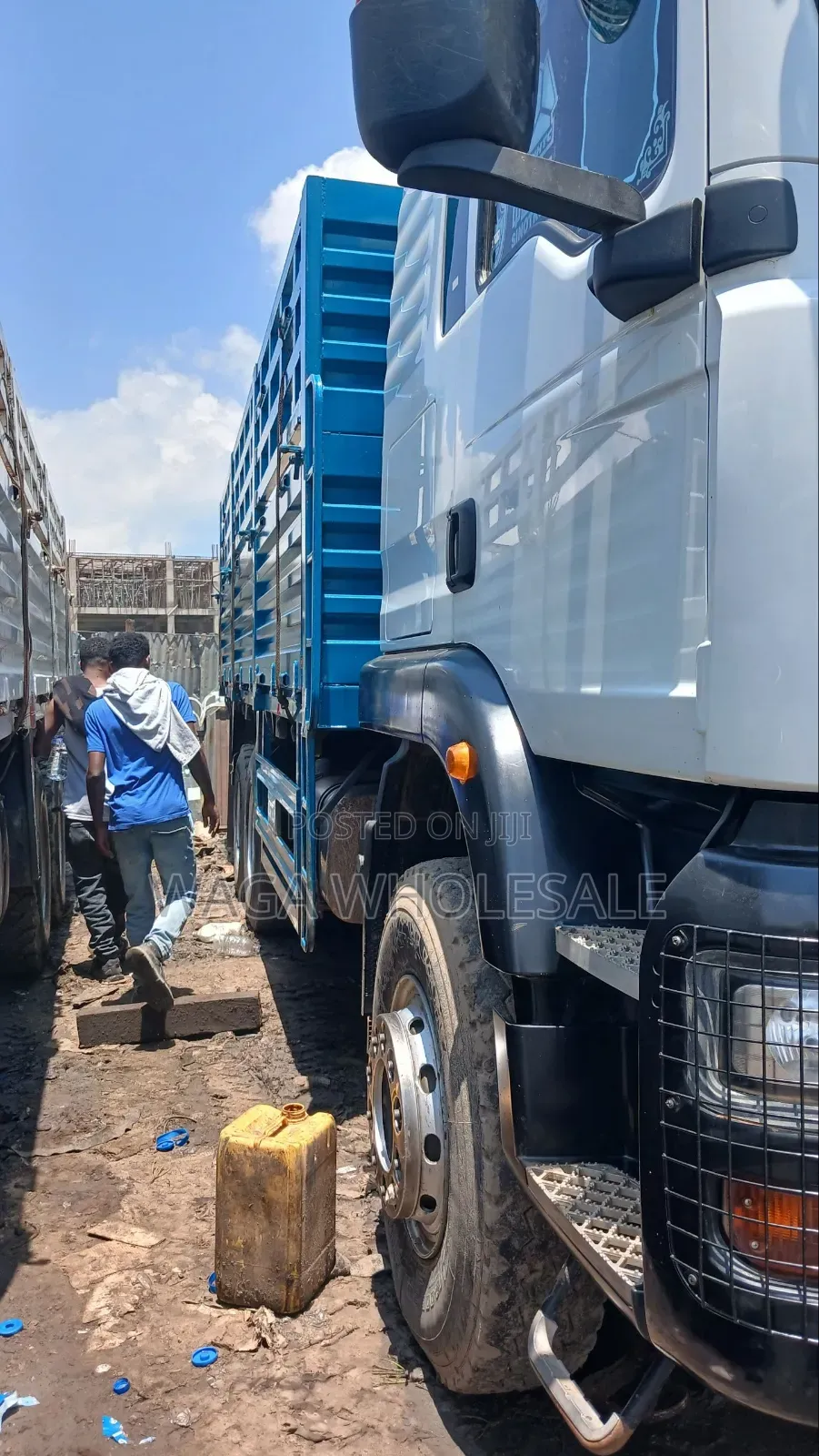 Sino Casoni ሲኖ ካሶኒ TX 371