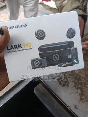 Holyland Microphone