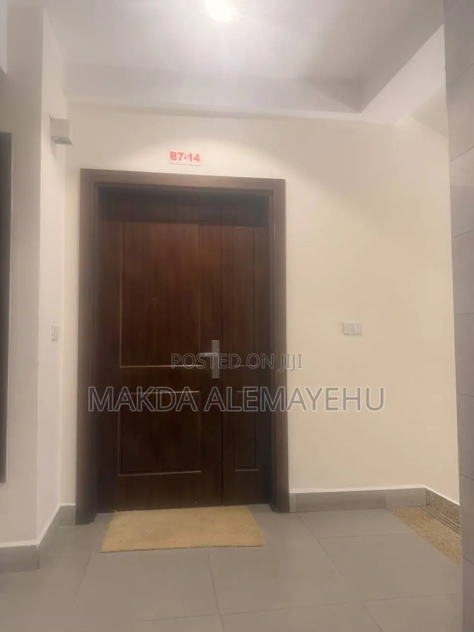 Imported Wooden Door
