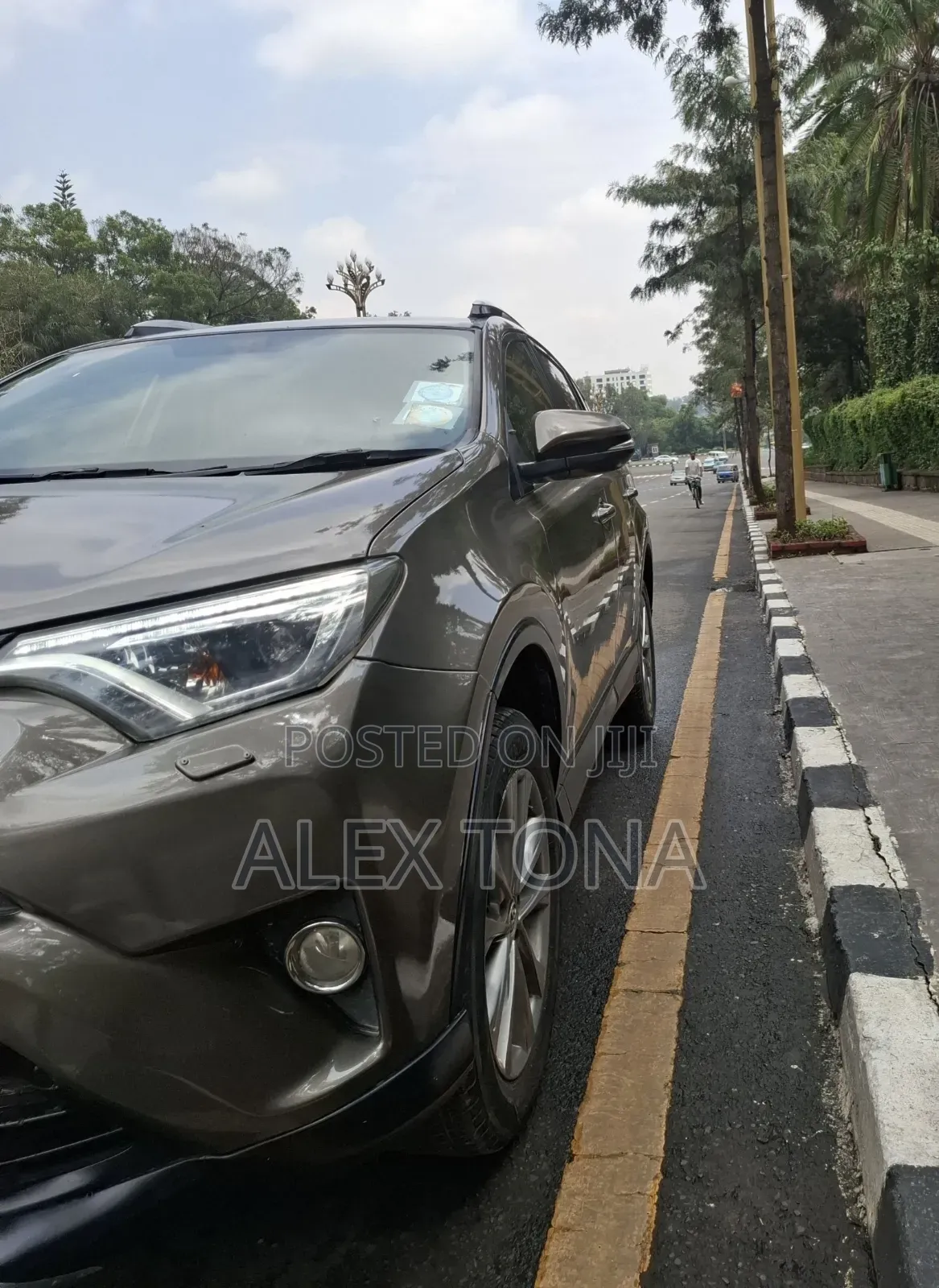 Toyota RAV4 2015 Gray