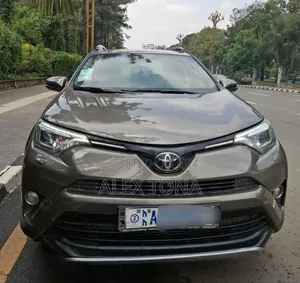 Toyota RAV4 2015 Gray