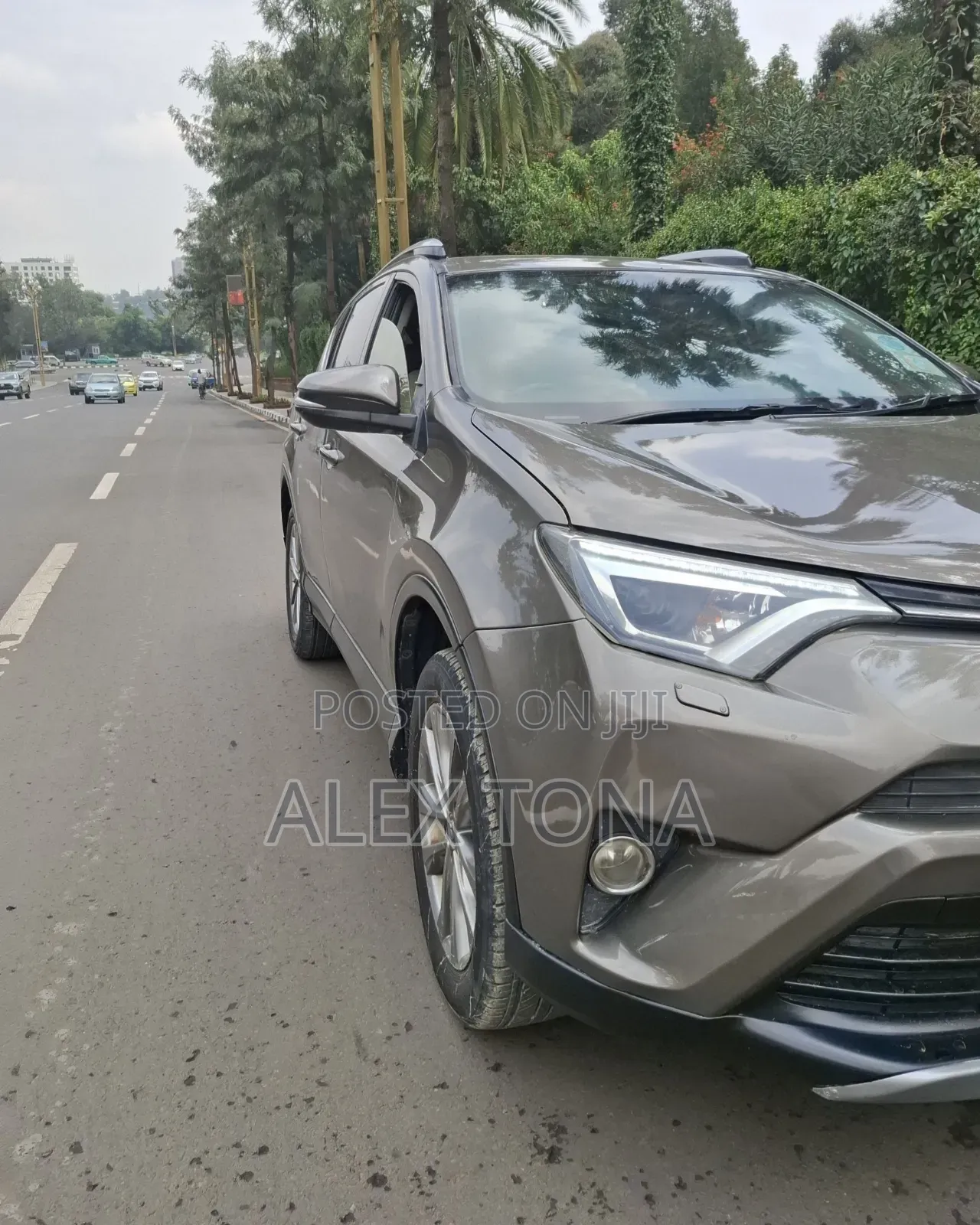 Toyota RAV4 2015 Gray