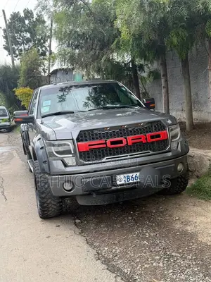 Ford F-150 2017 Gray