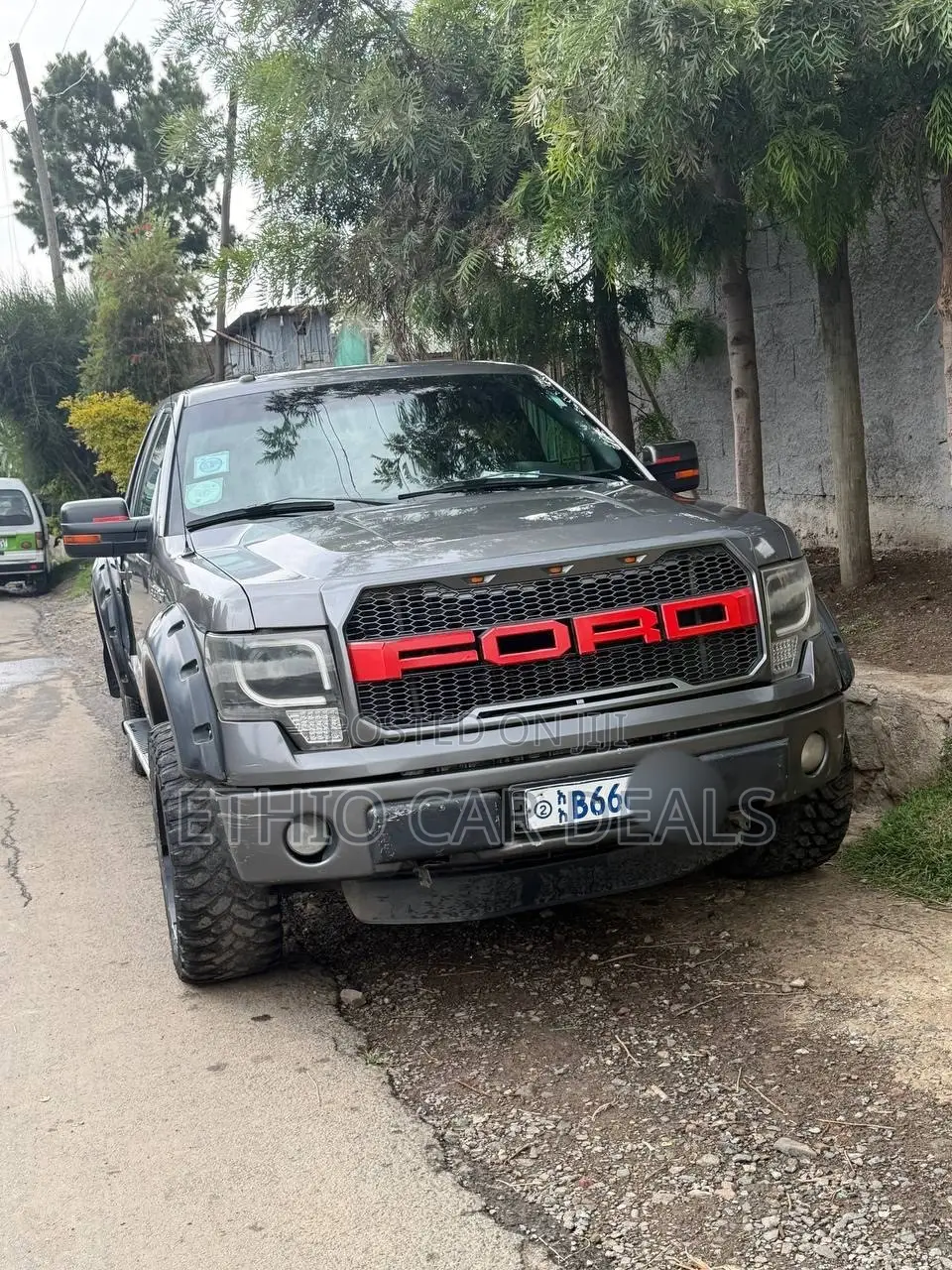 Ford F-150 2017 Gray