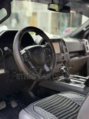 Ford F-150 2017 Gray