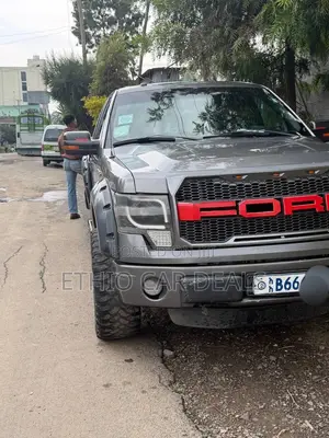 Ford F-150 2017 Gray