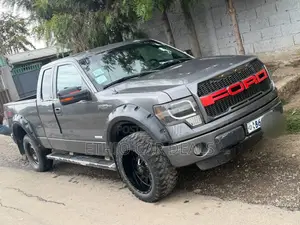 Ford F-150 2017 Gray