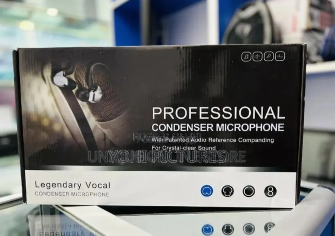 Condenser Microphone