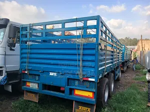 Sinotruk Heavy Duty Truck 2025 Mileage :. 31,000 Km