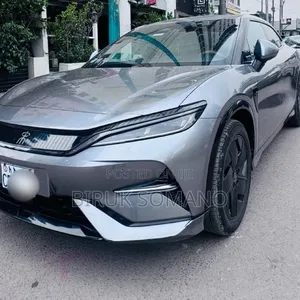 BYD Song L DM-i 2025 Gray