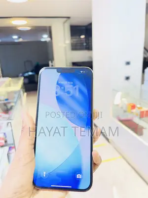 Apple iPhone 16 Pro Max 256 GB