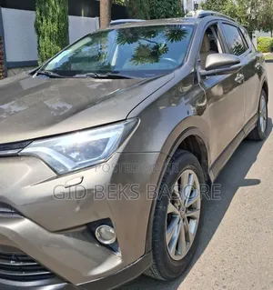 Toyota RAV4 2016 Brown