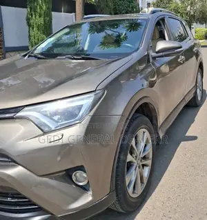 Toyota RAV4 2016 Brown