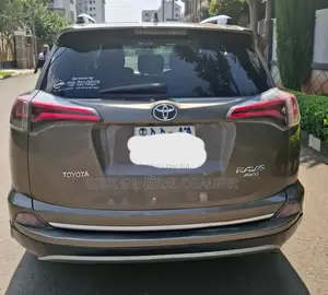 Toyota RAV4 2016 Brown