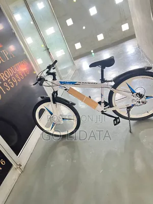 ዲኖስ ሳይክል – ጠንካራ እና አስተማማኝ — DINOS Bike – Strong & Reliable