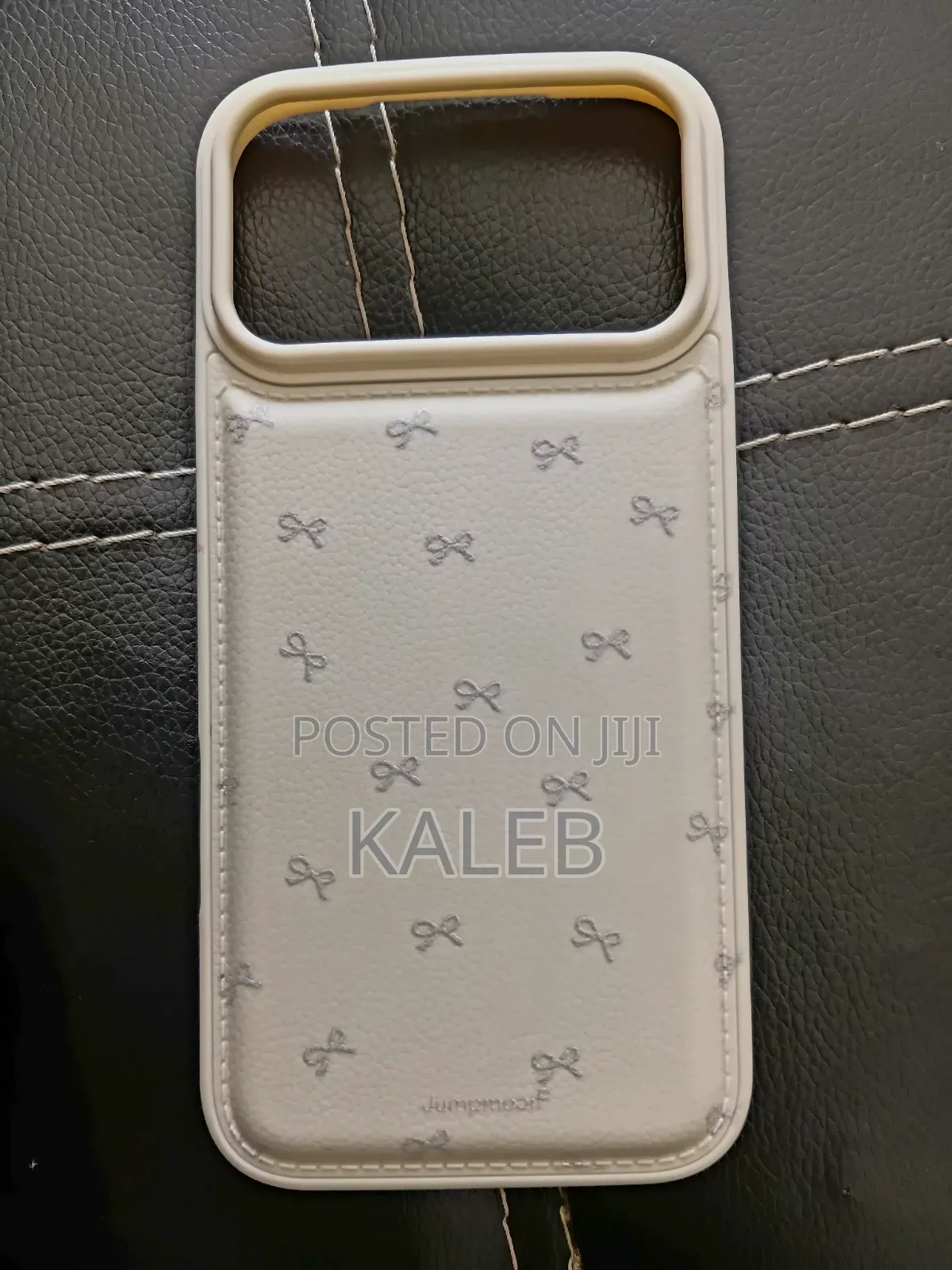 iPhone 17 Promax Case