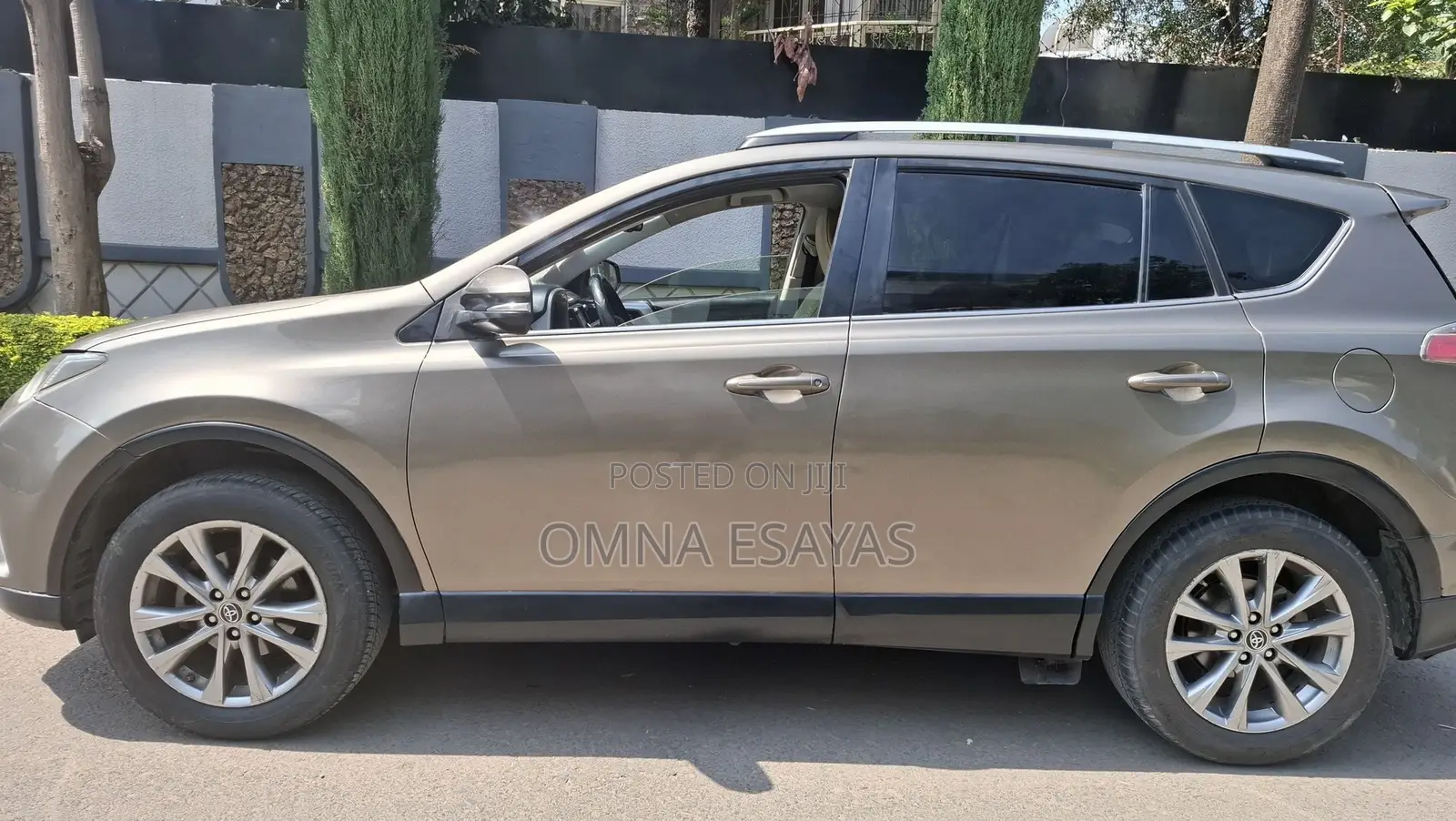Toyota RAV4 2016 Brown