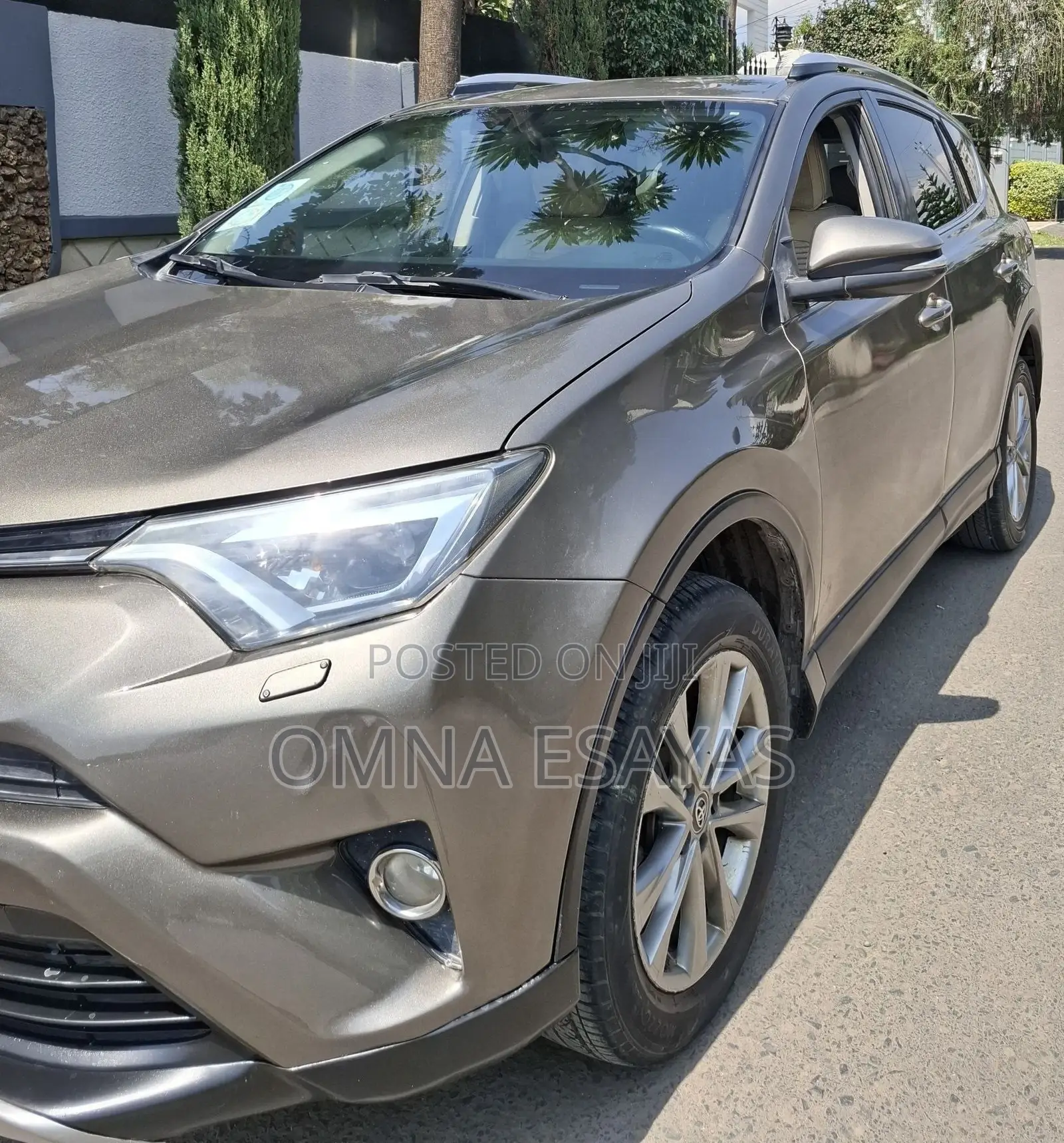 Toyota RAV4 2016 Brown