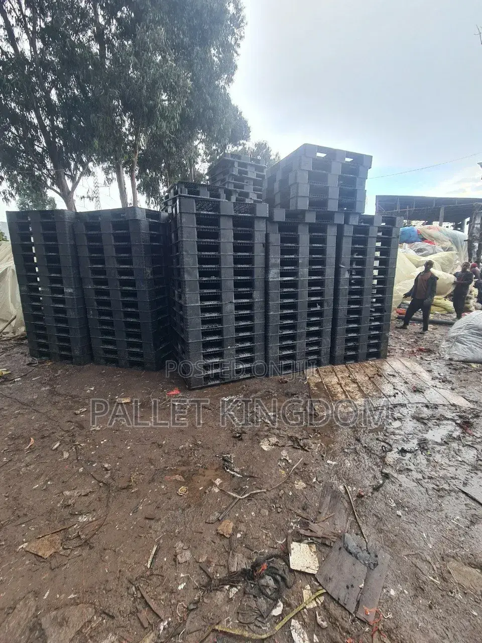 Plastic Pallets