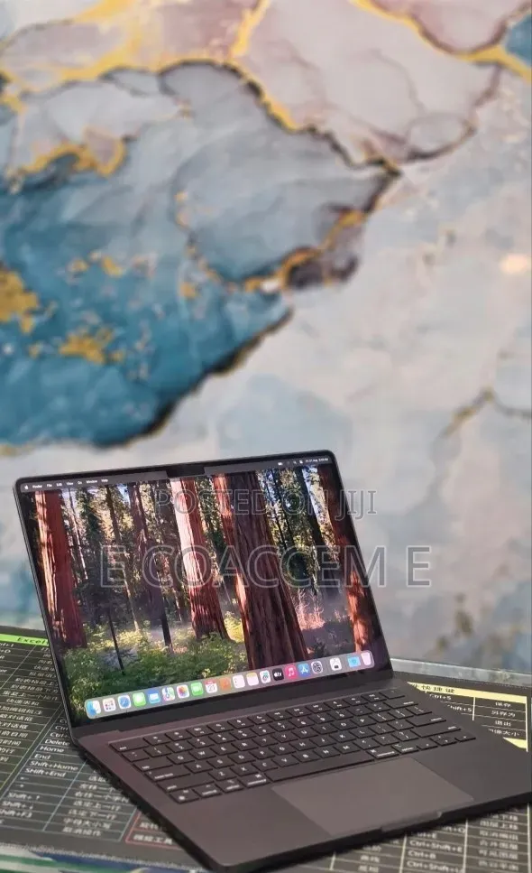 New Laptop Apple MacBook 16GB Apple M4 SSD 512GB