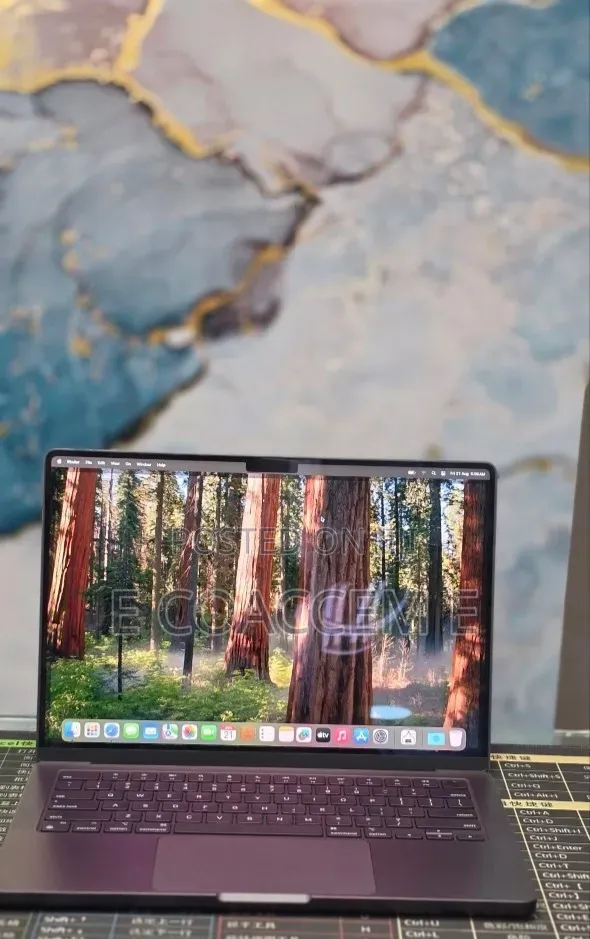 New Laptop Apple MacBook 16GB Apple M4 SSD 512GB