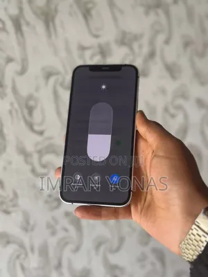 Apple iPhone 12 256 GB Blue