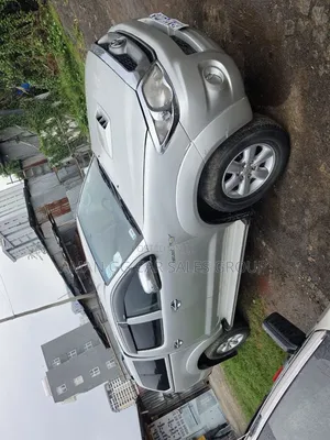 Toyota Hilux 2.5 D-4D SRX 2010 Purple
