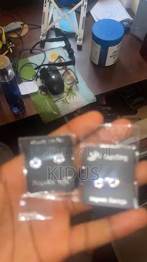 Magnetic Earrings