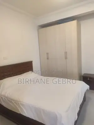 Furnished 3bdrm Apartment in Luxury Ferinshed, Kirkos for rent