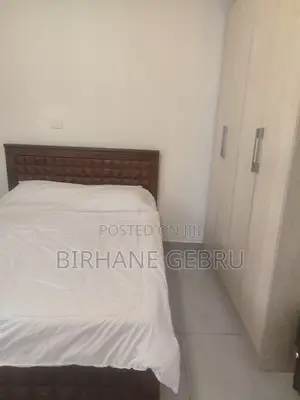 Furnished 3bdrm Apartment in Luxury Ferinshed, Kirkos for rent