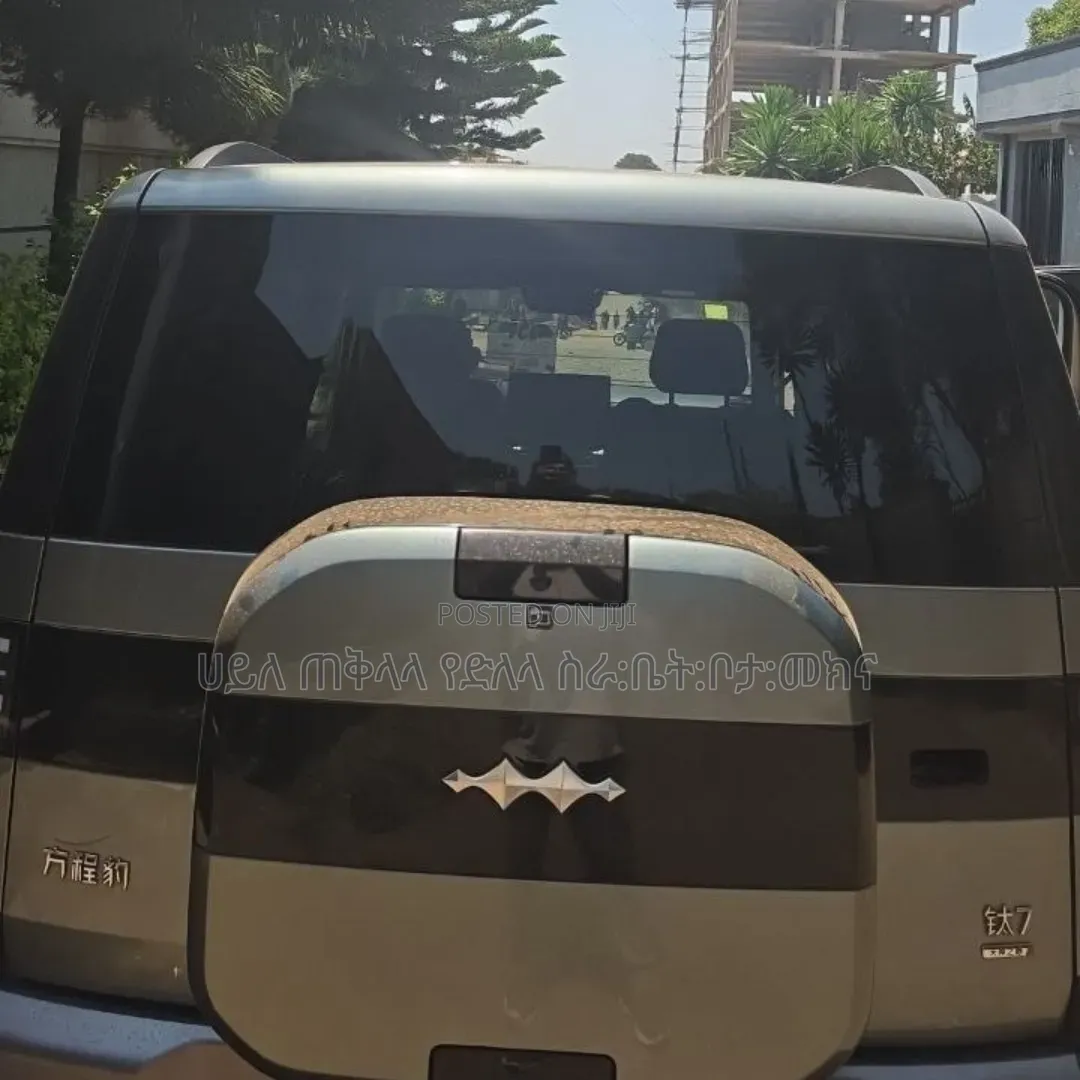 BYD Leopard 7 2025 Green
